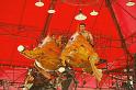 Le Manege Carre Senart concu par Francois Delaroziere 069